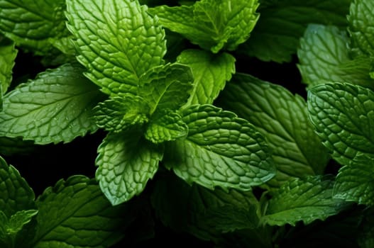 Mint herbs wooden. Organic plant. Generate Ai