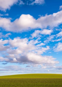 Green field and light blue sky with white cloud