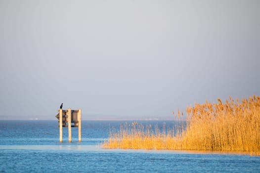 Lake Neusiedlersee on a sunny day in winter