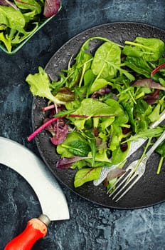 Salad of fresh spring greens and herbs served on a black plate. Flat lay.
