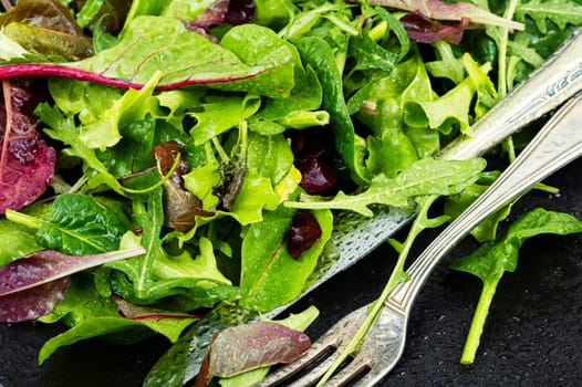 Salad of fresh spring greens and herbs served on a black plate. Flat lay.