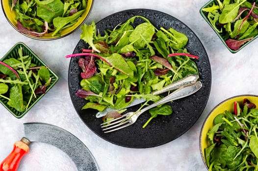 Salad of fresh spring greens and herbs served on a black plate. Flat lay.