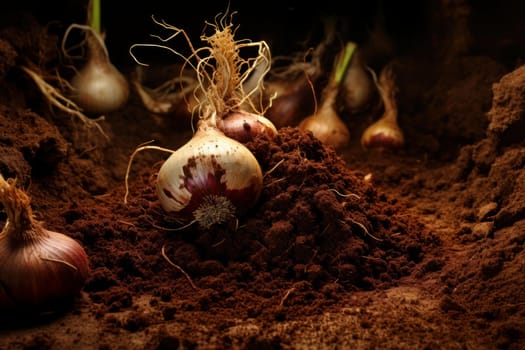 Well-drained Onion soil plant. Harvest farm. Generate Ai