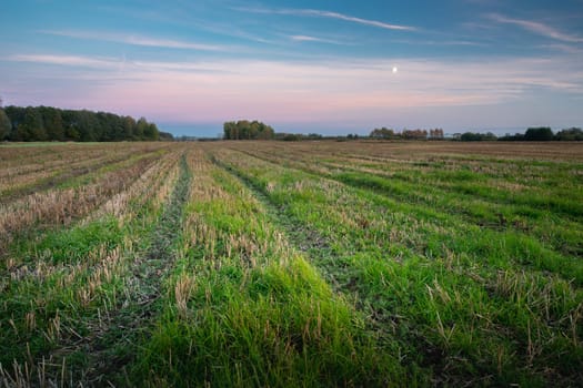 A beautiful evening view of a mowed agricultural field, Nowiny, Poland