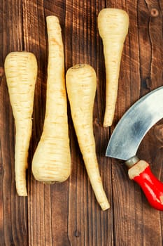 Raw and uncooked whole parsnips roots on the kitchen table