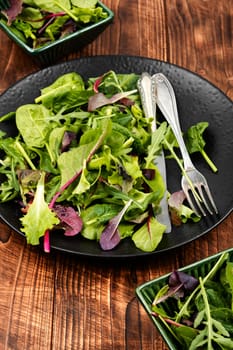Green vegan salad made from mixed green leaves and lettuce.