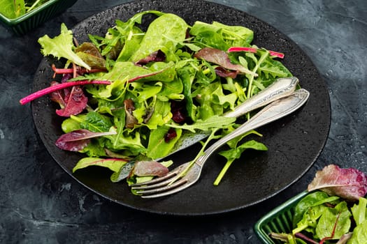Green vegan salad made from mixed green leaves and lettuce.