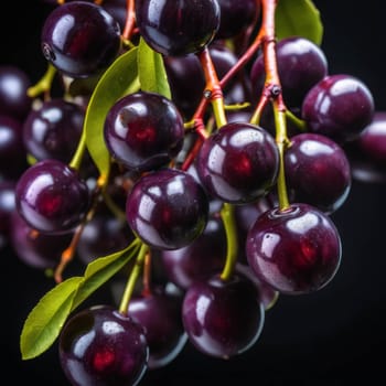 Delicious chokeberry on a twig. Isolated, Chokeberry whit green leaves