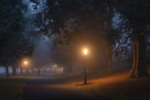 Blurred people, family, that walks in thick fog, on road surrounded by trees and illuminated by street lamps in Phoenix Park, Dublin, Ireland