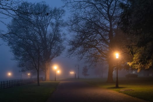 Silhouette of trees illuminated by vintage street lamps, vanishing in thick fog at night. Moody Phoenix Park, Dublin, Ireland