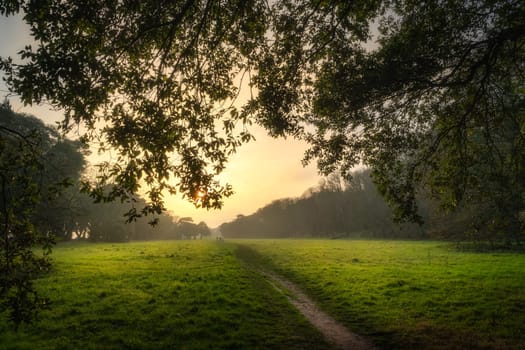 Footpath and meadow surrounded by majestic oak trees illuminated by sunlight at sunset in st Annes Park, Dublin, Ireland