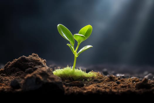 Resilient Ground plant grow. Tree seedling. Generate Ai