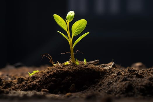 Flourishing Ground plant grow. Tree seedling. Generate Ai