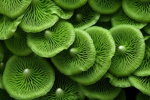 Natural Green pattern mushrooms. Mystic child. Generate Ai