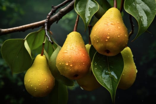 Verdant Pear organic fruits branch. Harvest nature. Generate Ai
