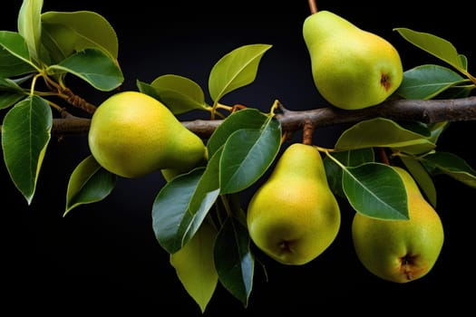 Pear fruits branch. Organic leaf ripe. Generate Ai