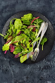Green vegan salad made from mixed green leaves on a concrete kitchen table.