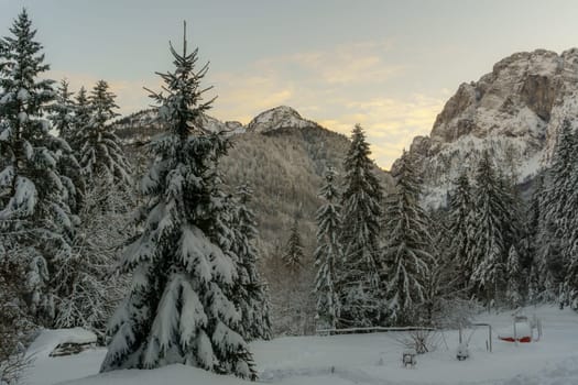 Winter landscape in the italian part of the Julian Alps, Snow-covered montains and trees at late afternoon.