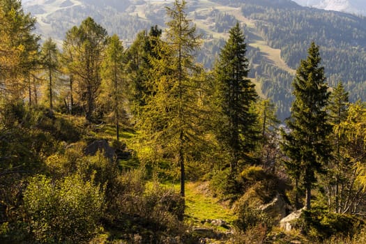 Alpine autumn landscape scenery at a wonderful sunny autumn day