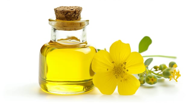 Essential oil in a bottle and blooming yellow flowers isolated on a white background .