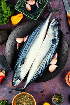 Raw, fresh mackerels or scomber and ingredients for cooking. Raw fish, seafood concept.