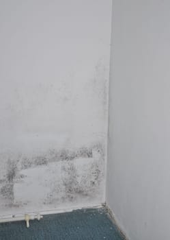Detail of old building Repair of an apartment in need of renovation