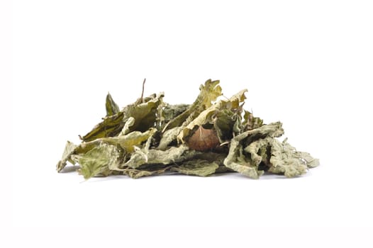 Dried lemon balm leaves on white background