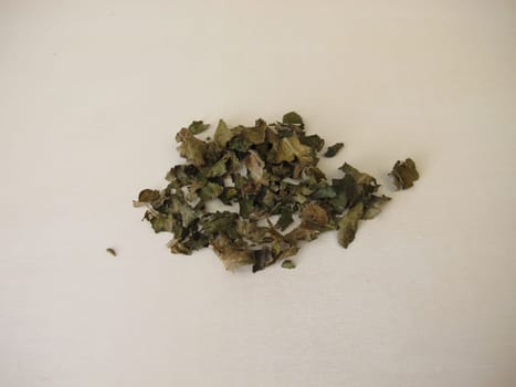 Fermented white mulberry leaves for black mulberry leaf tea, Morus alba