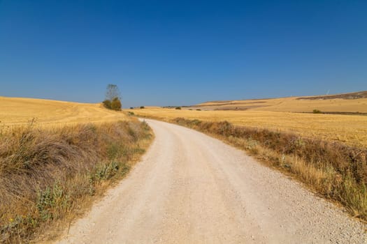 Rural road in the Spanish countryside among agricultural fields, after wheat harvest season. Navarra, Spain