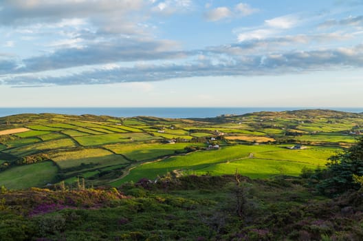 Landscape at the coast near the Lough Hyne in West Cork at sunset, Ireland