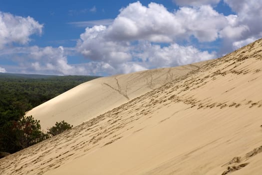 The Famous dune of Pyla, the highest sand dune in Europe, in Pyla Sur Mer, Arcachon, France.