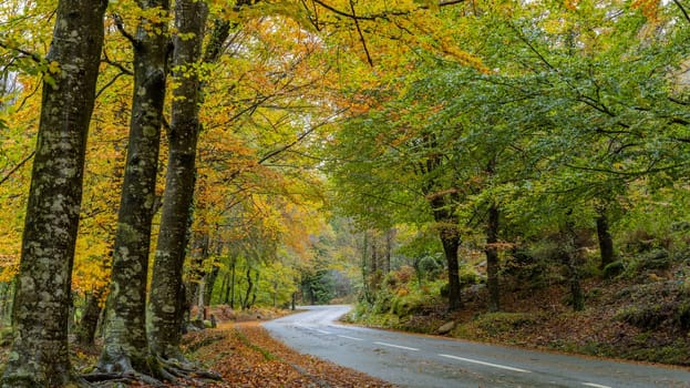 Autumn landscape at Geres National Park, Portugal