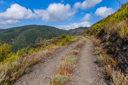 Landscape along the Camino de Santiago trail between Grandas de Salime and Fonsagrada, Asturias, Spain