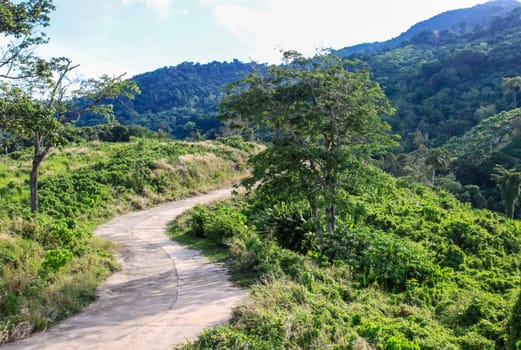 Forests on the hills of the island of Phuket in Thailand. The nature of Thailand.