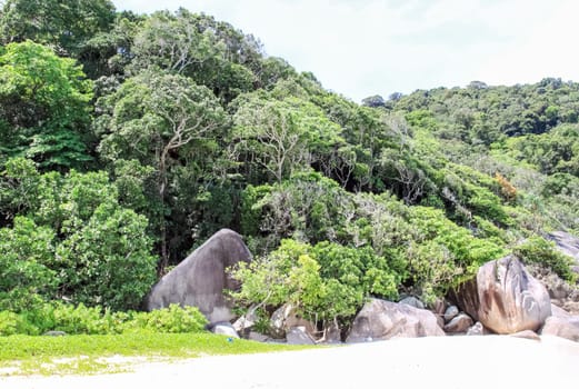 The rocks and hills near Phuket. Beaches of Thailand