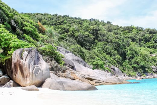 Forests on the hills of the island of Phuket in Thailand. The nature of Thailand.