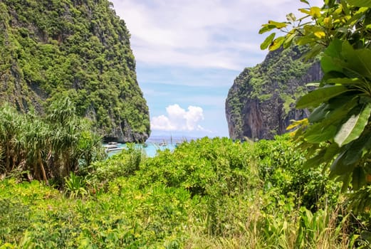 Forests on the hills of the island of Phuket in Thailand. The nature of Thailand.