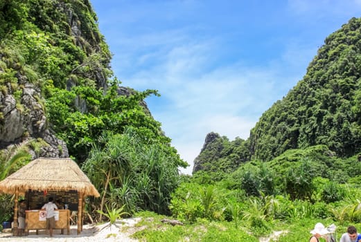 Forests on the hills of the island of Phuket in Thailand. The nature of Thailand.