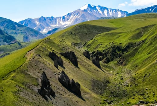 Mountain landscape with grass in the hills. Mountain landscape. Mountain vegetation.