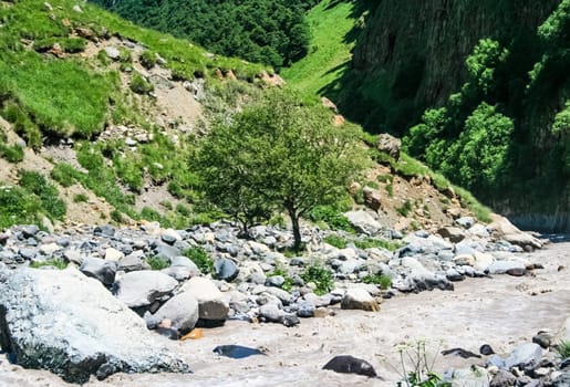 Mountain landscape with grass in the hills. Mountain landscape. Mountain vegetation.
