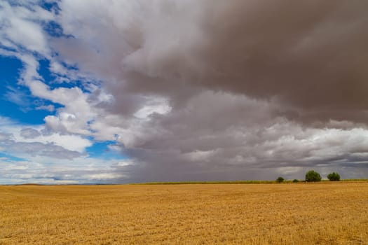 view of a crop field in the north of Spain