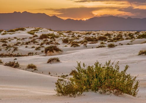mesquite flats desert in the death valley after sunset, USA