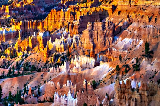 beautiful landscape in Bryce Canyon with magnificent Stone formation like Amphitheater, temples, figures in afternoon ligh