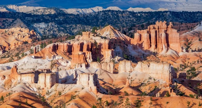 scenic view to the hoodoos and rocks at Bryce Canyon
