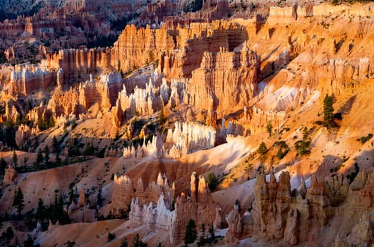 scenic view to the hoodoos and rocks at Bryce Canyon