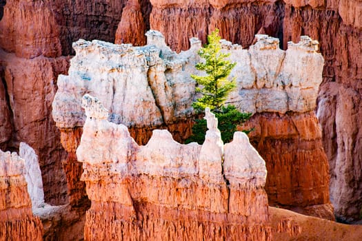 beautiful landscape in Bryce Canyon with magnificent Stone formation like Amphitheater, temples, figures in Morning light