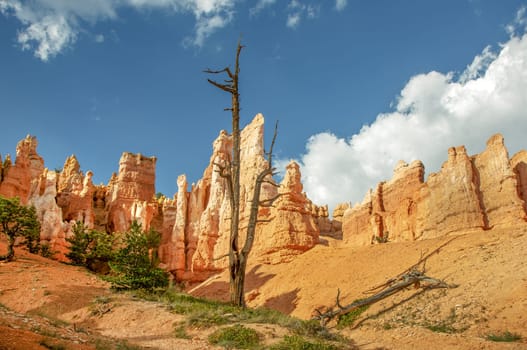 scenic view to the hoodoos and rocks at Bryce Canyon