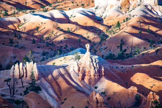beautiful landscape in Bryce Canyon with magnificent Stone formation like Amphitheater, temples, figures in afternoon ligh