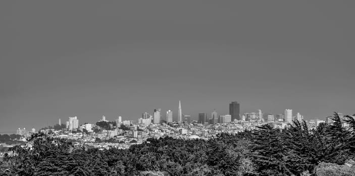 skyline of San Francisco in late afternoon