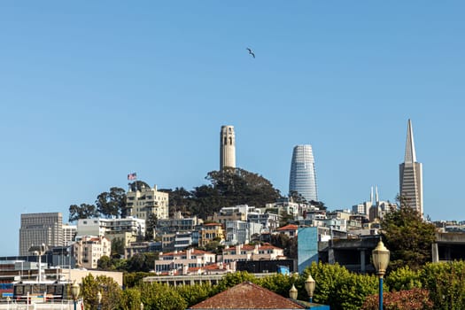 skyline of San Francisco with skyscraper and pyramid in early morning light seen from pier 36, USA